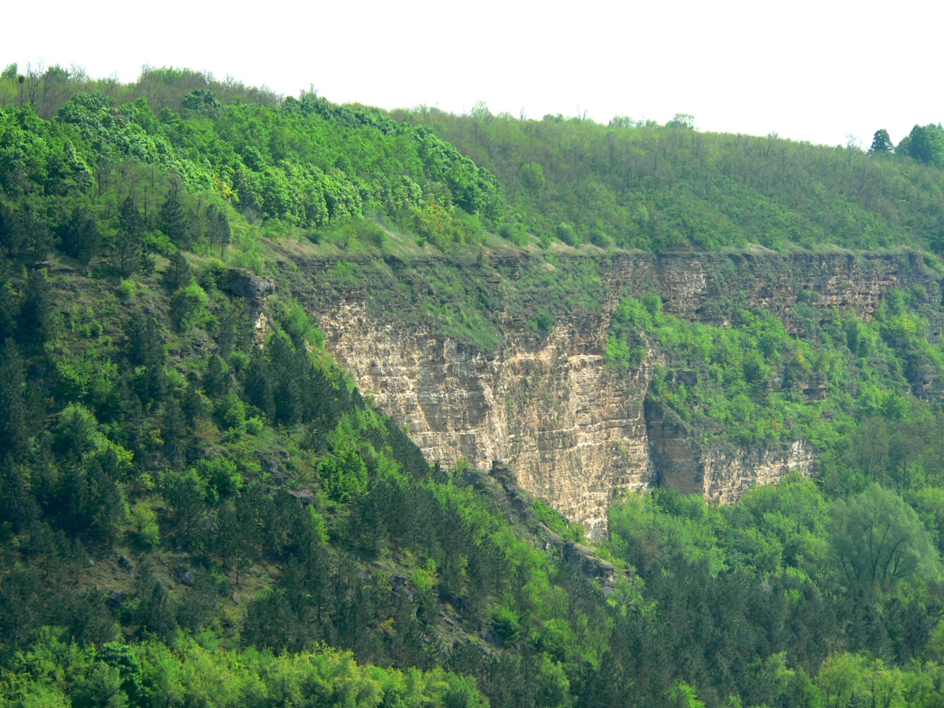 Chervona Skala, Kamenka
